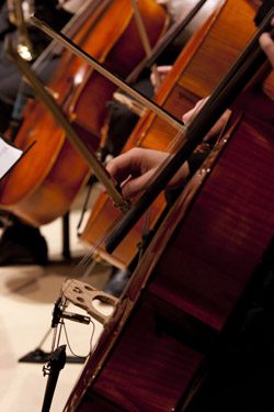 Orchestra