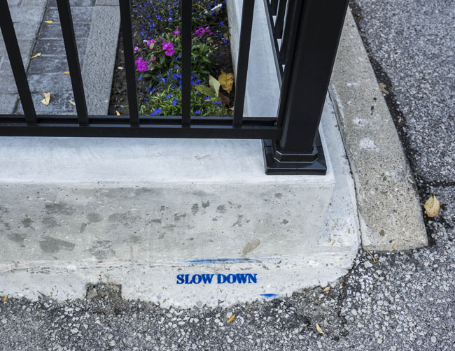 Photo of an asphalt surface with raised cement edging and cast iron railing. The words SLOW DOWN are stencilled on the cement. Visible behind the railing is a flower bed with bright pink and blue flowers.