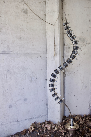 Backbone, Esther Kim 2019, 24” x 12” x 88.5’’, Steel