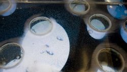 *CANCELLED* Winter Lunchtime Seminar Series featuring Marta de Menezes @ The Sensorium Research Loft