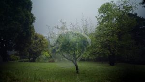 Sensorium Seminar Series featuring Associate Professor Ingrid Veninger